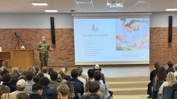 Lenke til artikkel: Forsvaret på besøk 