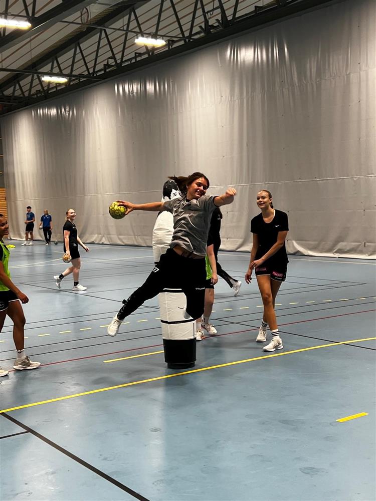 Klikk for stort bilde