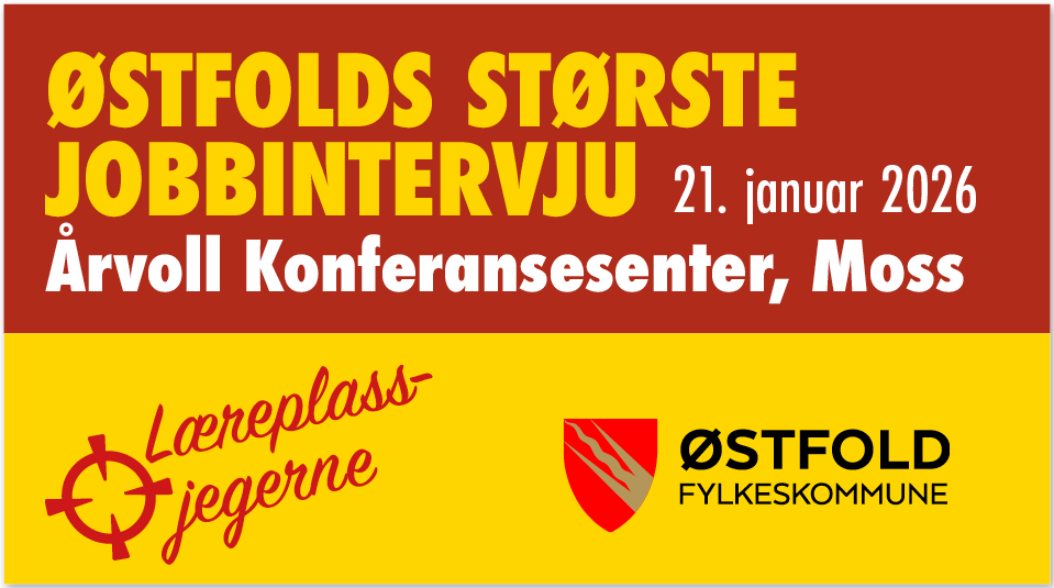 Bilde med informasjon som står i artikkelen