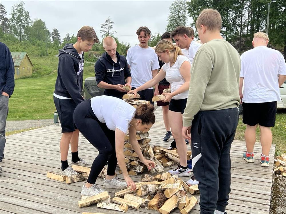 Elevene stabler vedkabber - Klikk for stort bilde