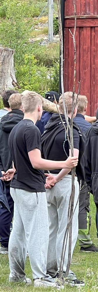 Klikk for stort bilde