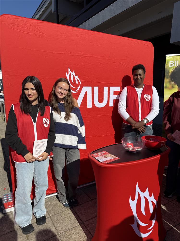 Stand Arbeiderpartiet - Klikk for stort bilde
