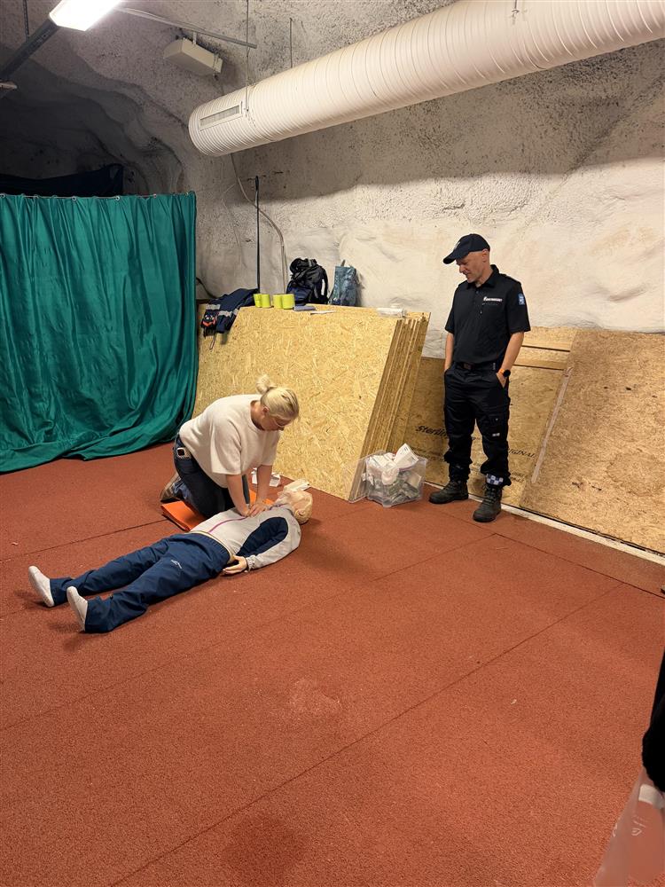 Klikk for stort bilde