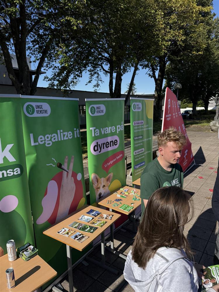 Politisk stand partiet Venstre - Klikk for stort bilde