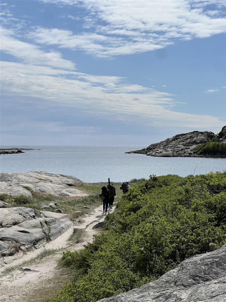 Skjærgård - Klikk for stort bilde