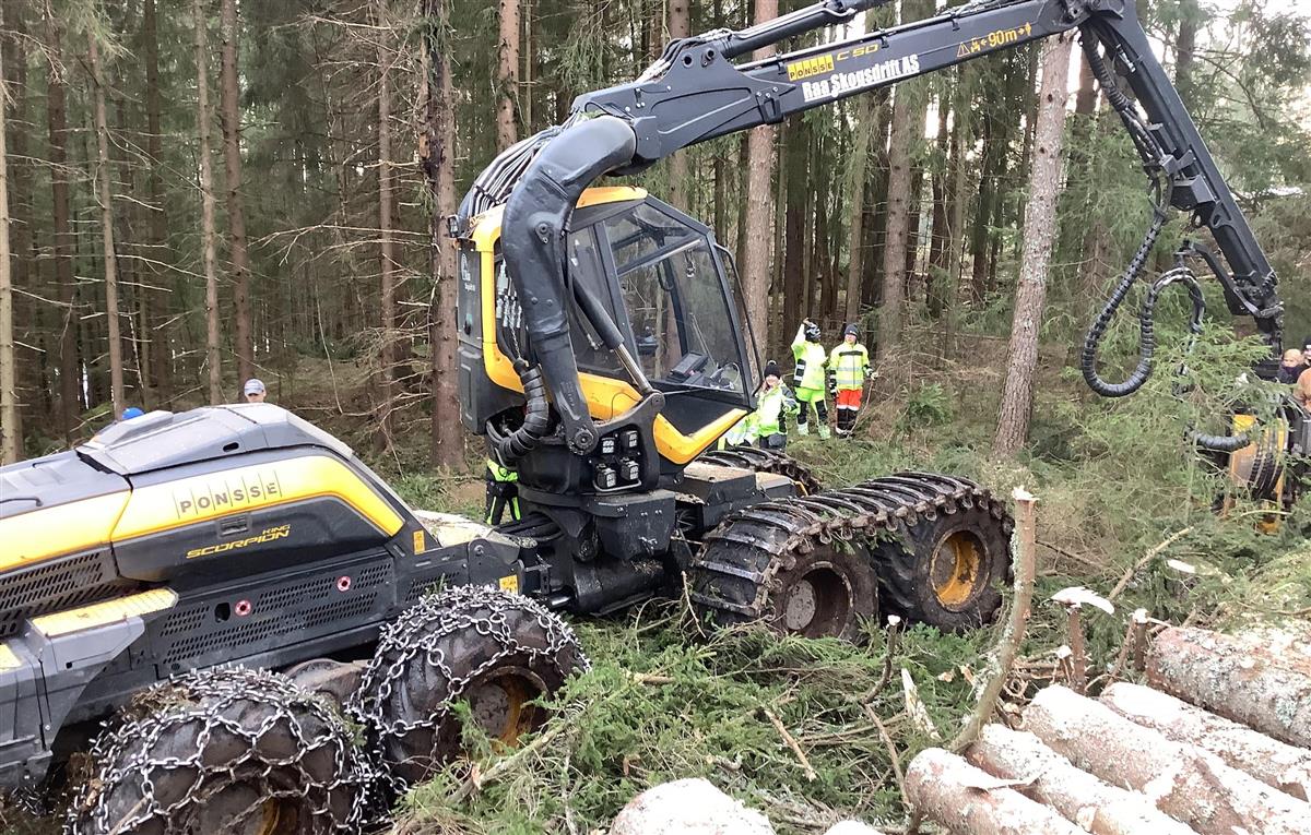 Elever og en stor skogsmaskin som arbeider i skogen - Klikk for stort bilde